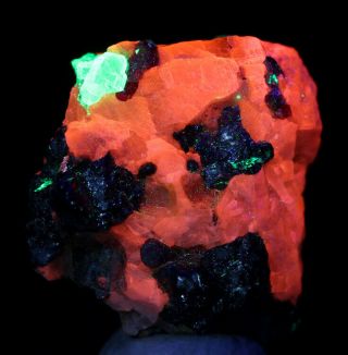 Franklinite Willemite Calcite Fluorescent Crystal Mineral Specimen Jersey