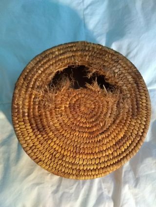 ANTIQUE NATIVE AMERICAN BASKET WITH TWO TONE DESIGN 4