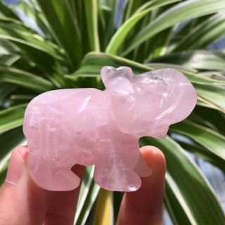 2.  0 " Natural Rose Quartz Crystal Hand - Carved Elephant For Home Decor