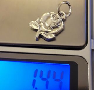 925 Sterling Silver Filled Rose Miraculous Mary Virgin St Pendant Charm Medal 4