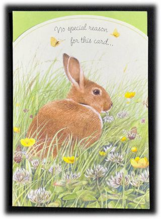 Vintage Marjolein Bastin No Special Reason Thinking Of You Bunny Field Card