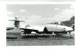 Raf Gloster Meteor Wl109 Vintage Photograph