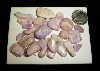 Prairie Tanzanite Crystal Tumbled Chakra Stones Wyoming 30.  1 Grams