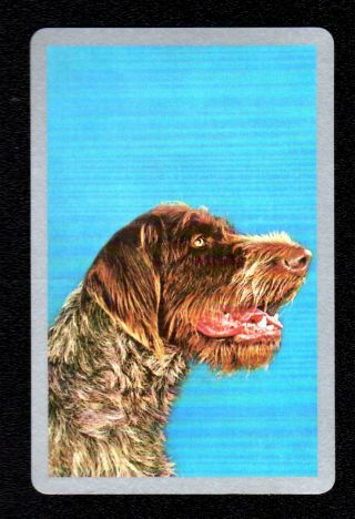 Vintage Swap Card - Wire - Haired Dog (silver Border) (blank Back)