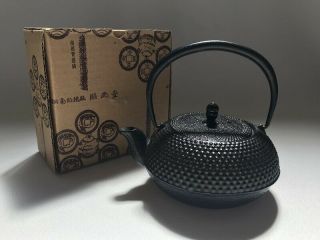 Iron Kettle Lidded Tetsubin Pot 南部 Nanbu Sencha Box Black Tea Japanese Vtg I44