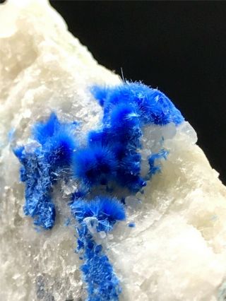 31g Natural Cyanotrichite Quartz Crystal Cluster Rough Rare Mineral Specimen