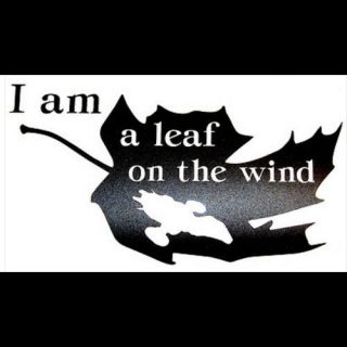 " I Am A Leaf On The Wind " Firefly/serenity Themed Vinyl Decal - Design