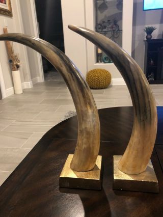 Polished Cow Cattle Horns Western Decor Power Horn Style On Stands