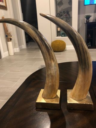Polished Cow Cattle Horns Western Decor Power Horn Style On Stands 3
