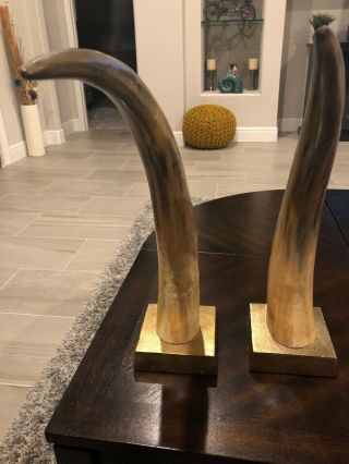 Polished Cow Cattle Horns Western Decor Power Horn Style On Stands 6