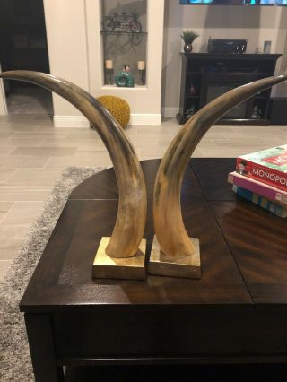 Polished Cow Cattle Horns Western Decor Power Horn Style On Stands 7