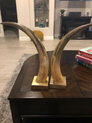 Polished Cow Cattle Horns Western Decor Power Horn Style On Stands 8