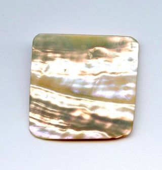 X - Lg Carved Square Vtg Iridescent Mother Of Pearl Button - - 1 1/4 " - - Diag 1 3/4 "