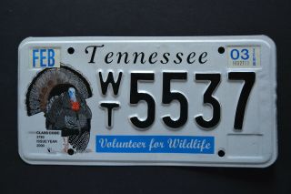 Tennessee " Wildlife Turkey - Bird " Tn Specialty License Plate 5537