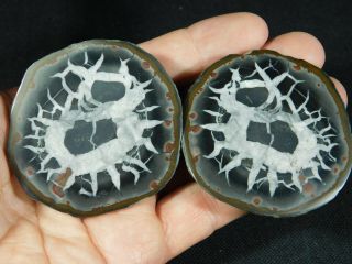 A Neat Lighting Like Pattern On This Natural Polished Septarian Nodule 188gr E