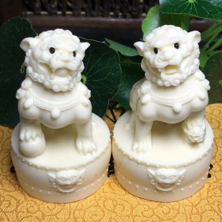 Pair Tagua Nut Vegetable Ivory Powder Lion Statue Evil Guardian Door Fu Foo Dog