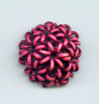 Extruded Celluloid Button - - Buffed Fuchsia Flower Design - - 1 1/4 " X 3/4 "