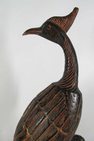 Vintage Bali/Philippines Large Carved Wood Folk Art Peacock/Bird of Paradise yqz 5