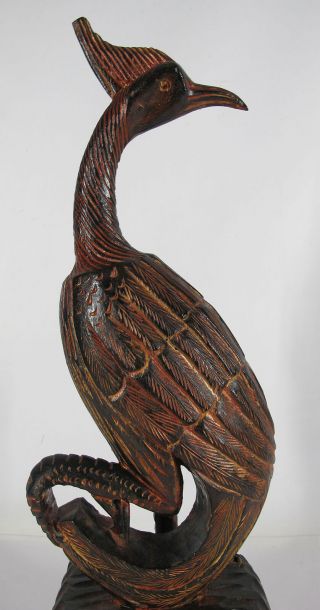 Vintage Bali/Philippines Large Carved Wood Folk Art Peacock/Bird of Paradise yqz 7