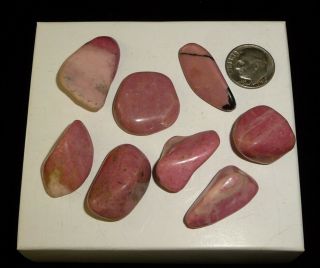 Dino: 8 Rhodonite Crystal Tumbled Chakra Stones,  Russia - 60 G - Crystal Healing