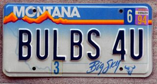 Montana Big Sky Buffalo Skull Vanity License Plate " Bulbs 4u "
