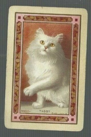 Swap Playing Cards 1 Vint U.  S.  N/nmd " Tabby " Fluffy White Cat Art Signed Us57