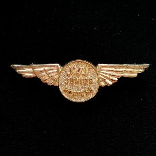 Sas Airlines Junior Hostess Wings Pin Badge Plastic