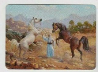 Swap Playing Cards 1 Arab Horses