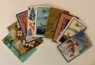10 Vintage Playing Cards Wildlife Deer Bucks/ Does/ Fawns