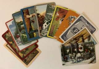 12 Vintage Playing Cards Farm & Ranch Animals Cows/sheep/horses 4 Named