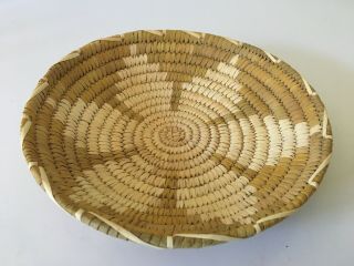 Hand Woven Basket Tray By Hopi Navajo Ne Az Shallow 8 " Wide