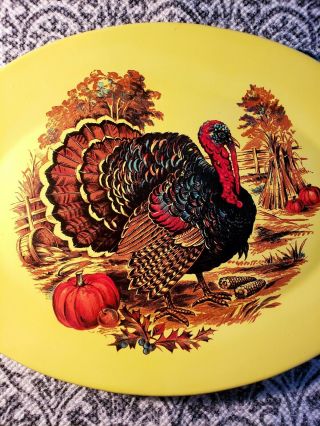 Retro Turkey Platter 4