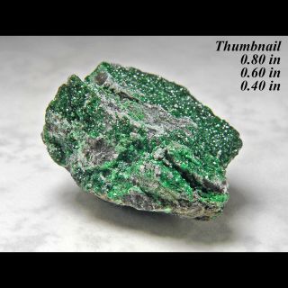 Uvarovite Green Garnet Urals Russia Minerals Crystals Gem - Thn