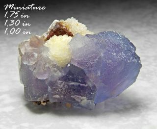 Gemmy Fluorite / Quartz Mexico Minerals Crystals Gem - Scb