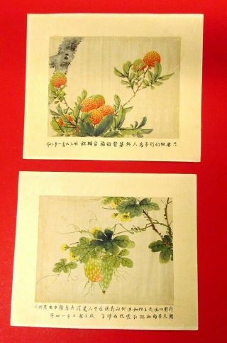 Vintage Japanese Prints Of Watercolor On Silk Floral Designs With Writing 8x10