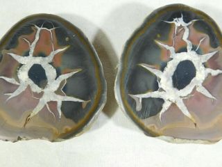 A Neat Eyeball Like Pattern On This Natural Polished Septarian Nodule 223gr E