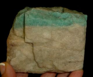 Dino: Blue Amazonite Crystal on Quartz Rough Brazil 1 lb 9.  5oz 2