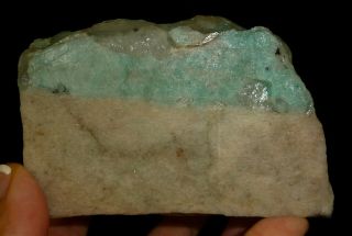 Dino: Blue Amazonite Crystal on Quartz Rough Brazil 1 lb 9.  5oz 3