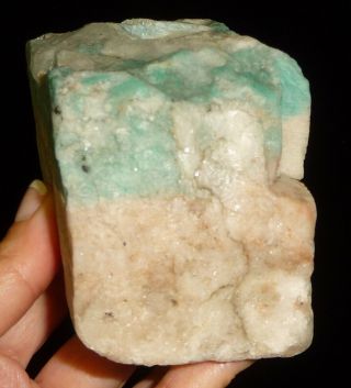 Dino: Blue Amazonite Crystal on Quartz Rough Brazil 1 lb 9.  5oz 5