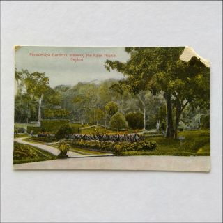 Peradeniya Gardens Showing The Palm House Ceylon Postcard (p380)