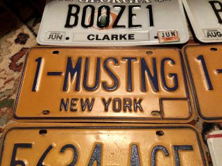 York License Plate Vanity Mustang Plus More