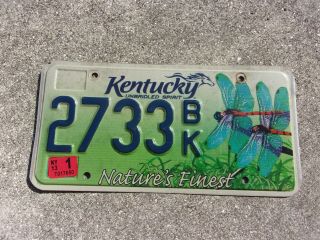 Kentucky 2013 Dragonflys License Plate 2733