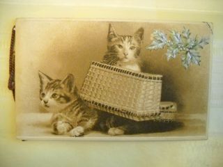 2 Kittens In Basket Victorian Small Embossed Christmas Card Chromolitho