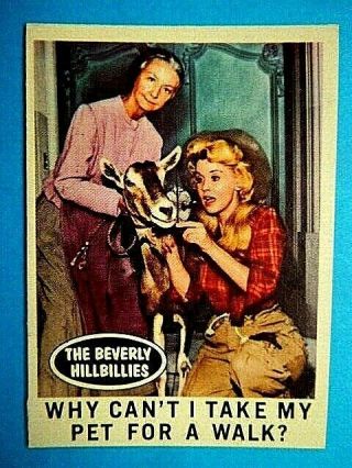 1963 The Beverly Hillbillies Trading Cards 21