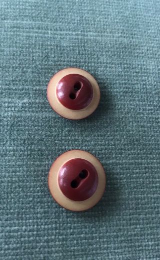 Vintage Red And Cream Vegetable Ivory 2 Hole Buttons 1.  8cm