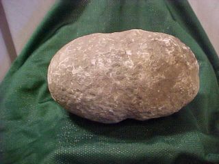 EARLY NATIVE AMERICAN INDIAN STONE AXE HEAD FULL GROOVE FREMONT WYOMING SHOSHONE 4