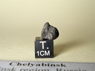 Meteorite Chelyabinsk,  Chondrite Ll5,  Complete Stone 0,  90 G,  Recent Fall,  Russia