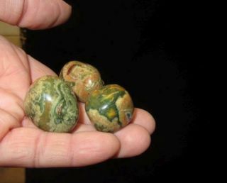 Carols: Rainforest Rhyolite (3) Tumbled Stone Crystal Healing Australia 83n