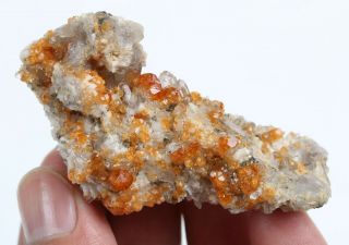 39g Natural Smoky Quartz Garnet On Dolomite Mineral Specimen