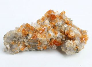 39g Natural Smoky Quartz GARNET on dolomite Mineral Specimen 3